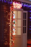 FY-50022 LEDクリスマス枝木小さなLEDライト電球ランプ FY-50022 LED安いクリスマス枝木小さなLEDライト電球のランプ - LEDブランチツリーライト中国で製造された