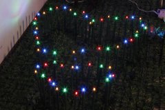 FY-50024 LEDクリスマス枝木 FY-50024 LED安いクリスマス枝木小さなLEDライト電球のランプ - LEDブランチツリーライト中国で製造された